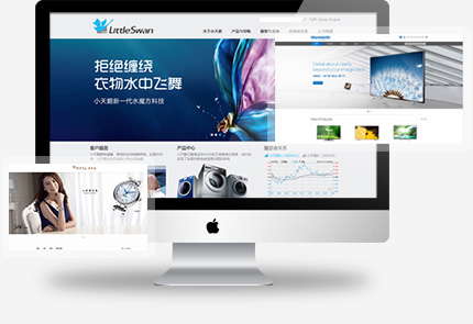 千款精品案例高端网站建设经验